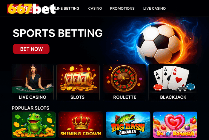 Jogos e bônus no Cassino 667BET