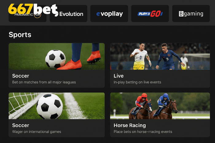 Aposte em apostas esportivas no cassino online 667BET